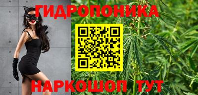 ECSTASY Жуковский