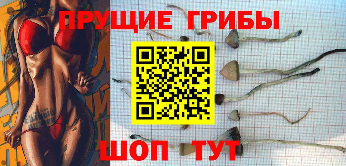 Галлюциногенные грибы ЛСД Дмитров