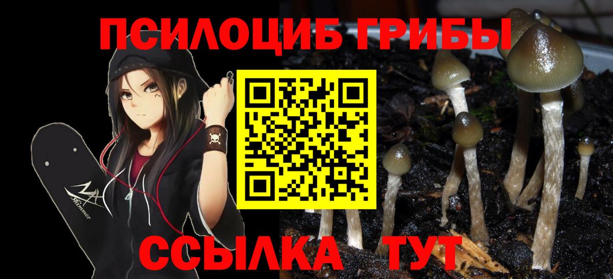 Псилоцибиновые грибы GOLDEN TEACHER  Вход с VPN  Псилоцибиновые грибы Magic Shrooms  Дмитров 